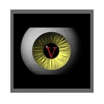 VIGILANCE  - Rondier en temps réel